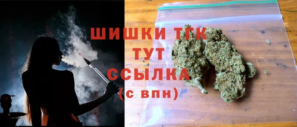 амф Новокубанск
