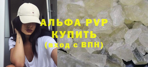 прущие грибы Новодвинск