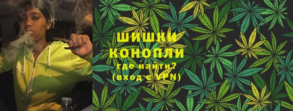 амф Новокубанск