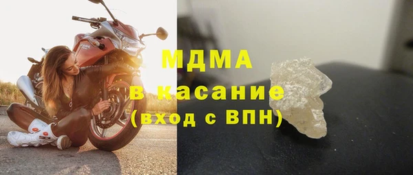 прущие грибы Новодвинск