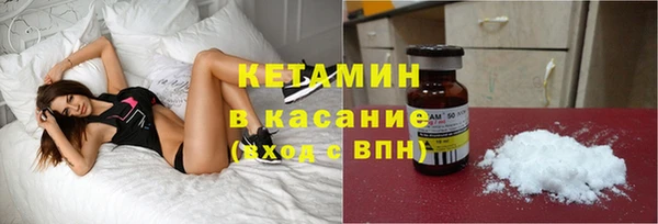 прущие грибы Новодвинск