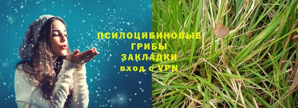 прущие грибы Новодвинск