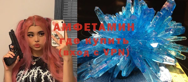прущие грибы Новодвинск