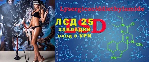 ПСИЛОЦИБИНОВЫЕ ГРИБЫ Строитель