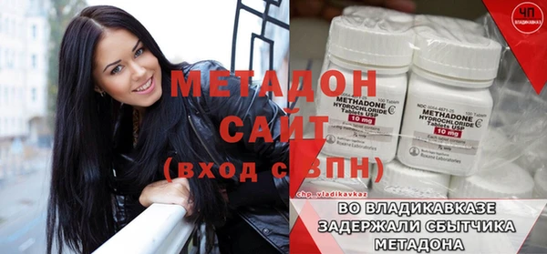 прущие грибы Новодвинск