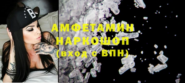 прущие грибы Новодвинск
