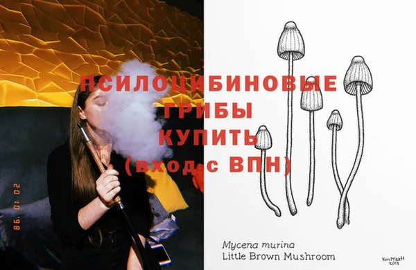 мдма Новозыбков