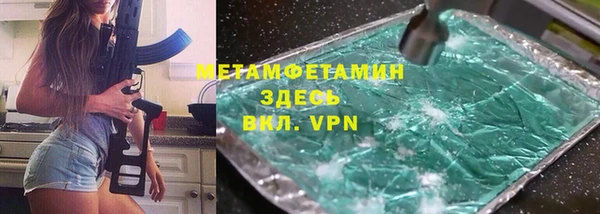 прущие грибы Новодвинск