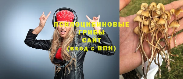 твердый Абаза