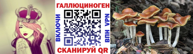 Псилоцибиновые грибы прущие грибы  Абаза 
