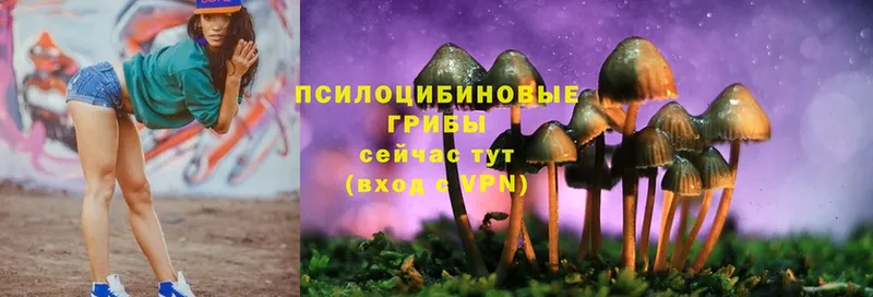 наркота  Абаза  Псилоцибиновые грибы мухоморы 