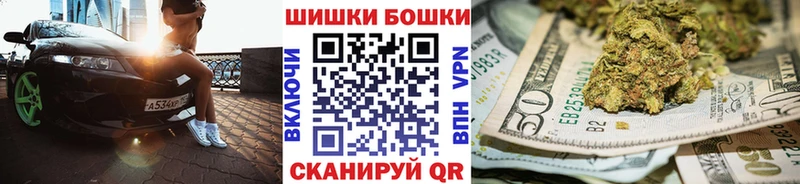 Бошки Шишки SATIVA & INDICA  купить наркотики цена  Абаза 